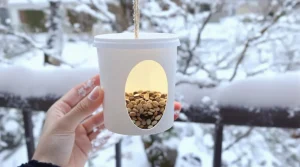 Arrêtez de jeter ce petit pot en plastique : il devient la mangeoire préférée des oiseaux cet hiver