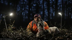 Coincée dans un terrier de blaireau pendant une battue, une chienne de chasse sauvée in extremis