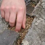 Guerilla gardening : comment verdir la ville sans nuire à la nature, concrètement