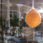 "Je l’ai posée hier, ils sont venus dès ce matin" : cette mangeoire maison à fabriquer en 5 minutes devient un vrai aimant à oiseaux