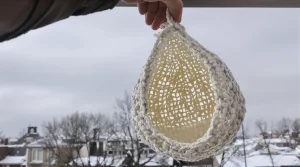 “Les oiseaux vont vous dire merci !” : ce DIY à faire en 10 secondes va leur être d’un précieux secours cet hiver