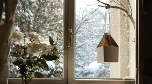 Ne jetez plus vos vieilles boîtes d’œufs, je les transforme au jardin pour attirer les oiseaux tout l’hiver