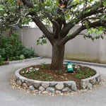 Voici pourquoi la présence de mésanges révèle un grave problème caché dans votre jardin