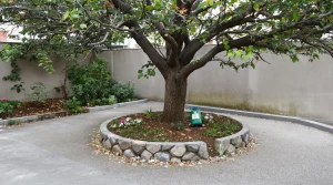 Voici pourquoi la présence de mésanges révèle un grave problème caché dans votre jardin