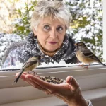 Cette date précise à partir de laquelle il faut absolument réduire le nourrissage des oiseaux