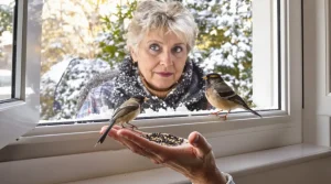 Cette date précise à partir de laquelle il faut absolument réduire le nourrissage des oiseaux